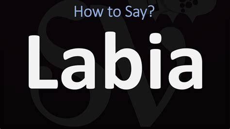 how to pronounce labia|How to pronounce LABIA in English .